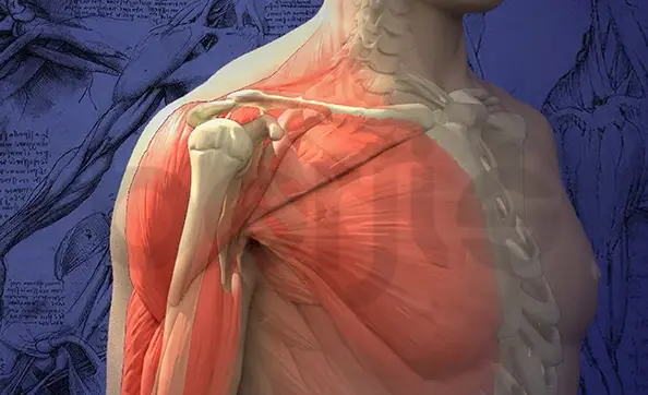 Home-treatment-shoulder-tendon-strain