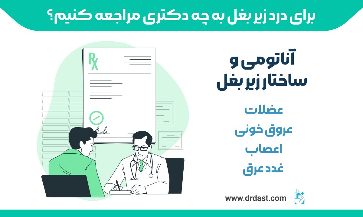 آناتومی و ساختار زیر بغل
